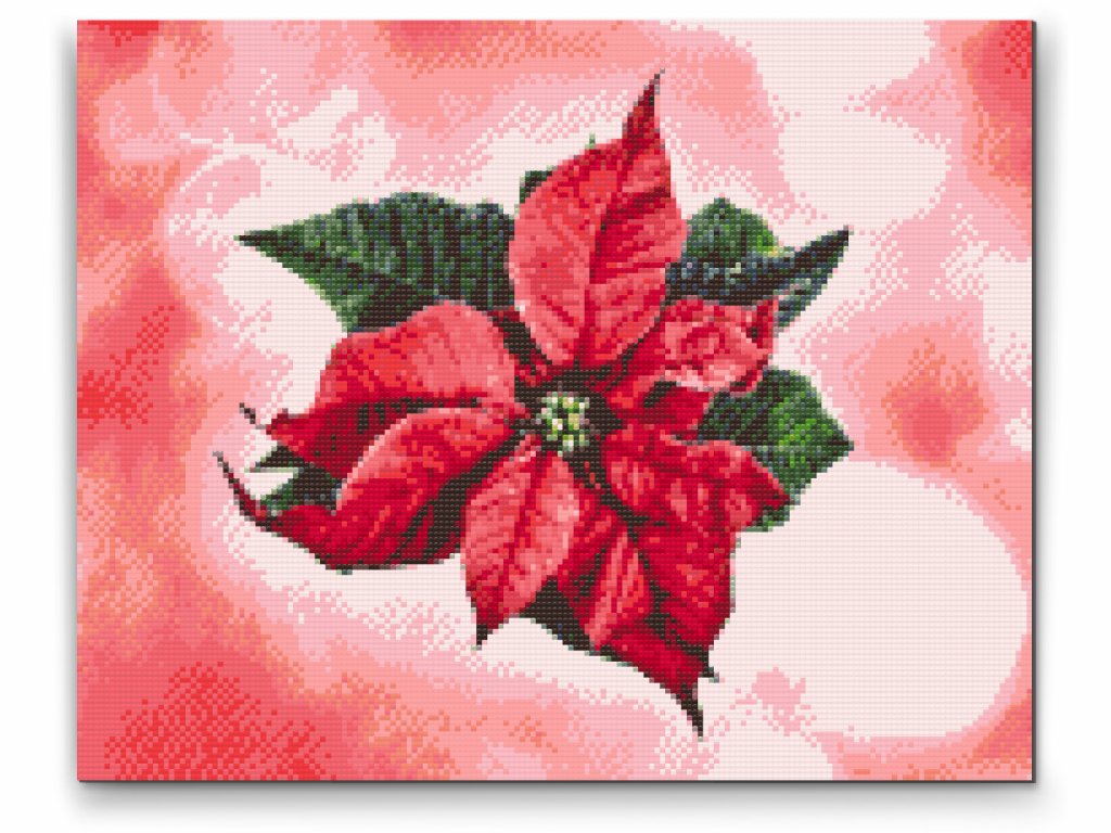 Diamond Painting av julstjärna – klassiskt rött blommotiv