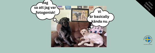 Tips för bästa bildkvalitet till din Diamond Painting | Guide