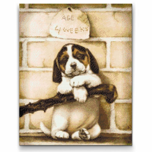 Diamond Painting av valp – 4 veckor gammal hundvalp i närbild