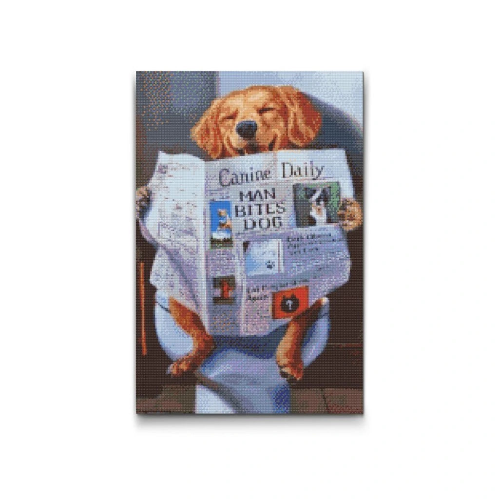 diamond painting rolig hund