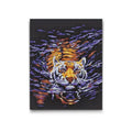 Tiger in the Water