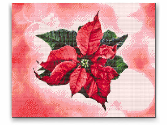 Diamond Painting av julstjärna – klassiskt rött blommotiv