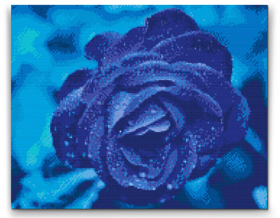 Blue Rose