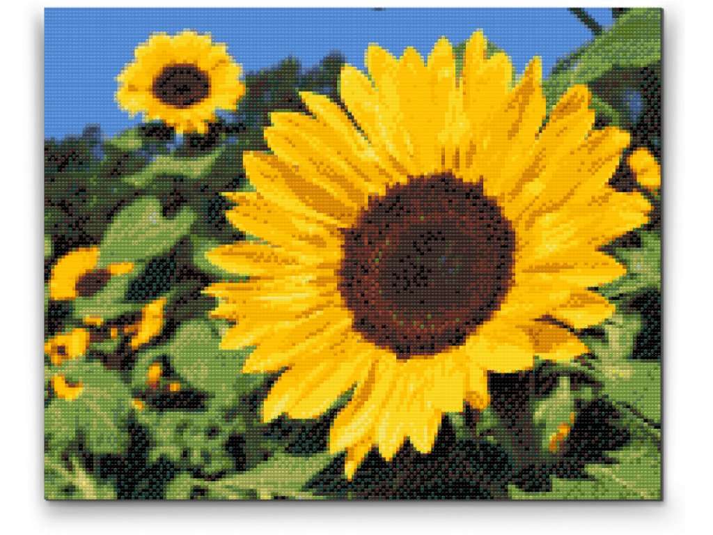 Diamond Painting av solros – färgstarkt och livfullt blommotiv
